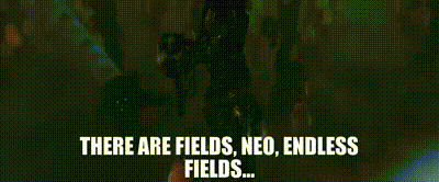 matrix fields neo